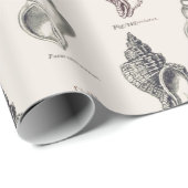 Sandy Shells  Seaside Pattern Wrapping Pap Cadeaupapier (Rol Hoek)