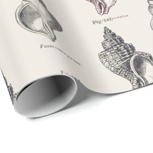 Sandy Shells  Seaside Pattern Wrapping Pap Cadeaupapier (Rol Hoek)