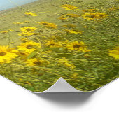 Sangre de Cristo, Great Sand Dunes en bloemen Poster (Hoek)