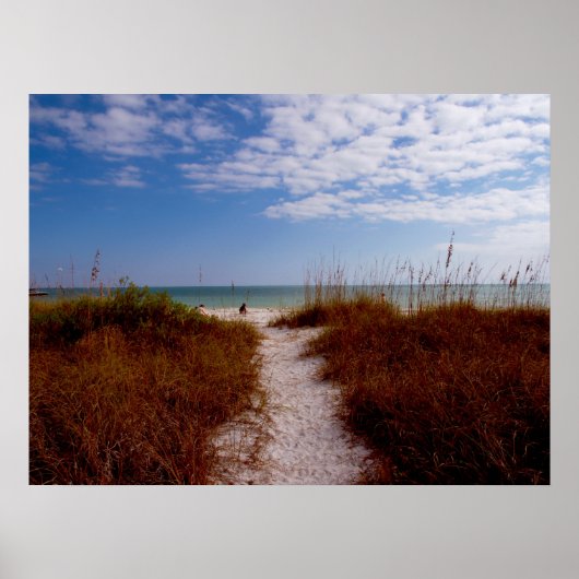 Sanibel Beach Poster (Voorkant)