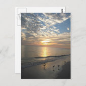 Sanibel Island, Florida Briefkaart (Voorkant / Achterkant)