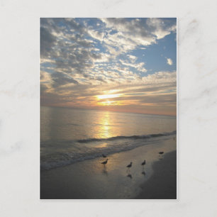 Sanibel Island, Florida Briefkaart