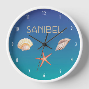 Sanibel met Seashells
