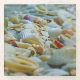 Sanibel Seashells Glass Onderzetter