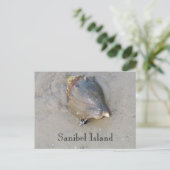 Sanibel Shell Briefkaart (Staand voorkant)