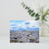 Sanibel Shells Briefkaart (Staand voorkant)