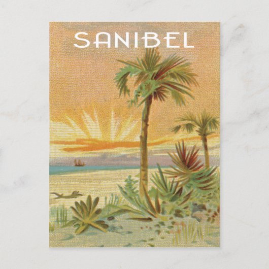 Sanibel  strand scene briefkaart (Voorkant)