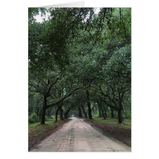 sanitaire weg (Voorkant)