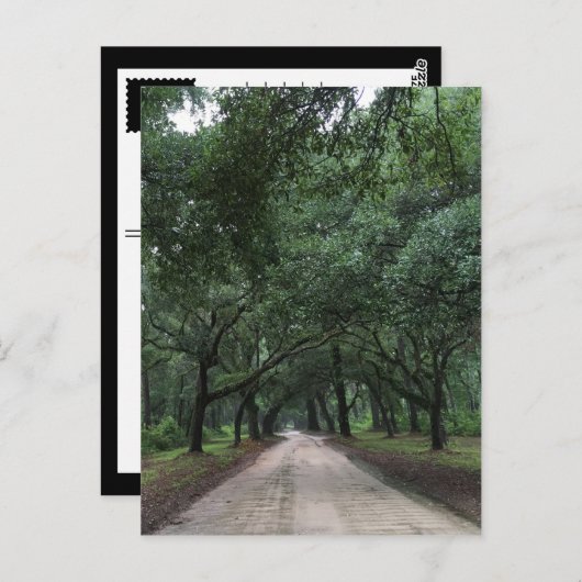 sanitaire weg briefkaart (Voorkant / Achterkant)