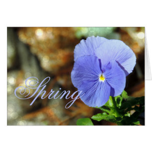 Sansy Bleu Ressort Toute Carte Occasion