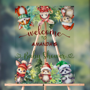 Santa Baby Christmas Baby shower Welkom Acryl Bord