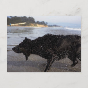 Santa Barbara, Californië, VS Briefkaart