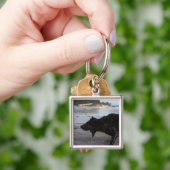 Santa Barbara, Californië, VS Sleutelhanger (Hand)