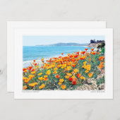 Santa Barbara Poppies Feestdagenkaart (Voorkant / Achterkant)