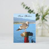 Santa Barbara Seagull Briefkaart (Staand voorkant)