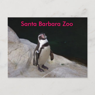 Santa Barbara Zoo Briefkaart