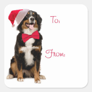 Santa Berner Gift Labels
