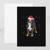 Santa Berner Sennenhond Xmas Boom Licht Kerstmis Kaart (Voorkant / Achterkant)