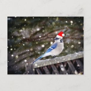 Santa Blue Jay Feestdagenkaart