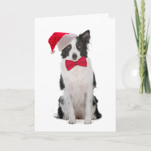 Santa Border Collie Christmas Kaart