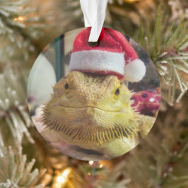 Santa Bubbs Acrylversiering Ornament