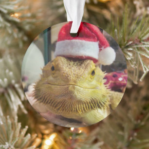 Santa Bubbs Acrylversiering Ornament