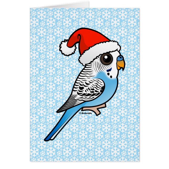 Santa Budgie Blue (Voorkant)