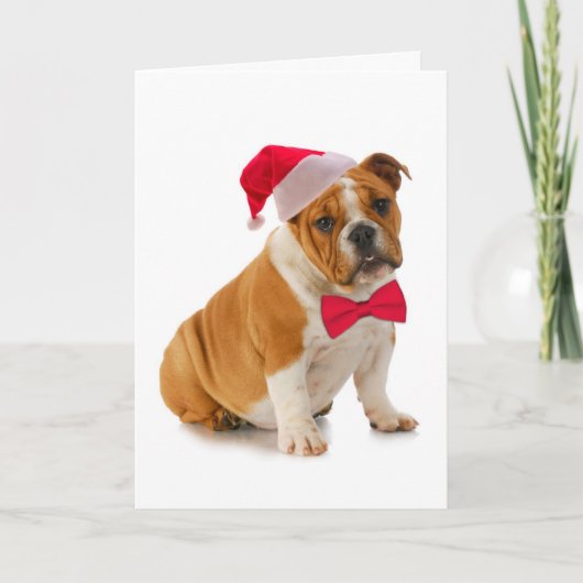 Santa Bulldog Christmas Kaart (Voorkant)