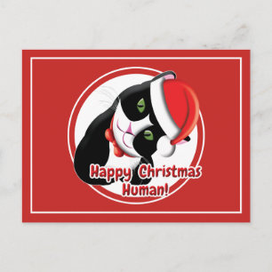 Santa Cat Briefkaart