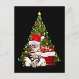 Santa Cat Briefkaart