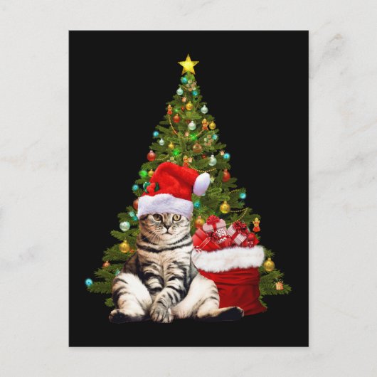 Santa Cat Briefkaart (Voorkant)