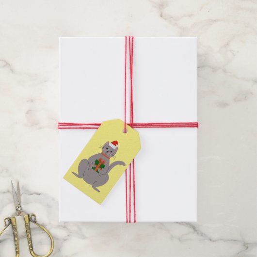Santa Cat Cadeaulabel (Met Touw)