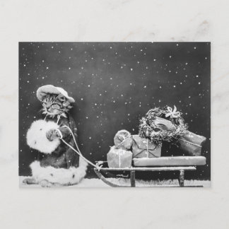 Santa Cat, een kerstkat Briefkaart