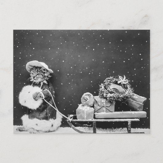 Santa Cat, een kerstkat Briefkaart (Voorkant)