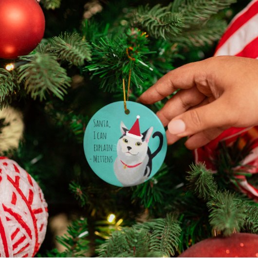 Santa Cat Funny Gepersonaliseerd Metalen Ornament