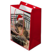 Santa Cat Ho Ho Medium Gift Bag Medium Cadeauzakje (Voorkant Gekanteld)