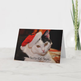 Santa Cat Lover Leuke Kerst Kaart