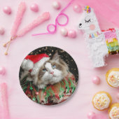 Santa Cat Papieren Bordje (Feest)