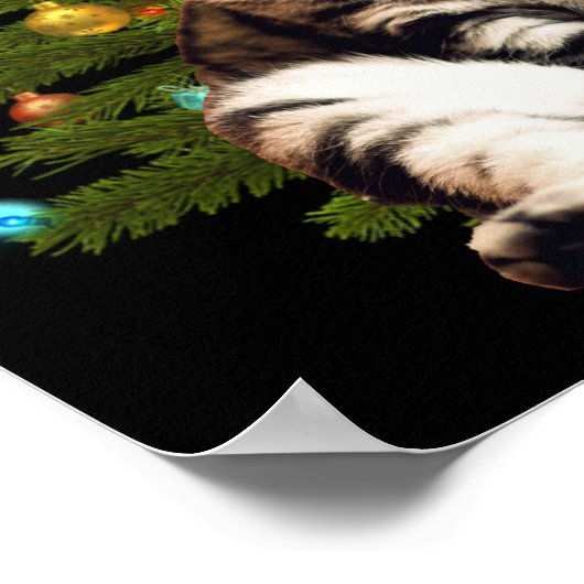 Santa Cat Poster (Hoek)