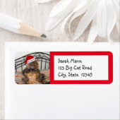 Santa Cat Return-adreslabels Etiket (Insitu)