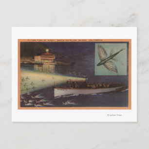 Santa Catalina Island, CA Casino, Vliegende vis Briefkaart