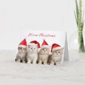 Santa Cats Kaart (Voorkant)