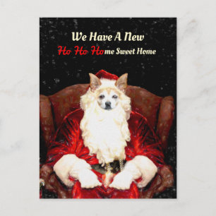 Santa Chihuahua Dog Red Funny New Address Moving Briefkaart