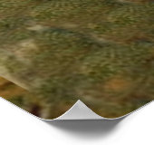 Santa Claus Antiek kerstboom Poster (Hoek)