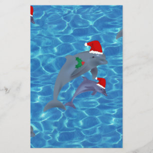 santa claus dolphins briefpapier