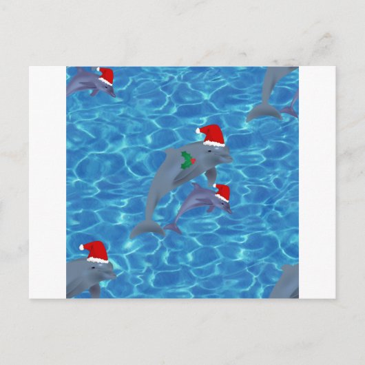 santa claus dolphins feestdagenkaart (Voorkant)