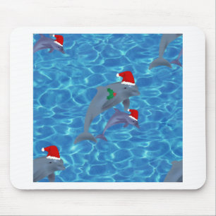 santa claus dolphins muismat