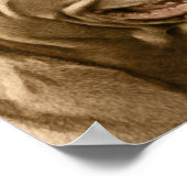  Santa Claus en Pet Pit Bull Dog Poster (Hoek)