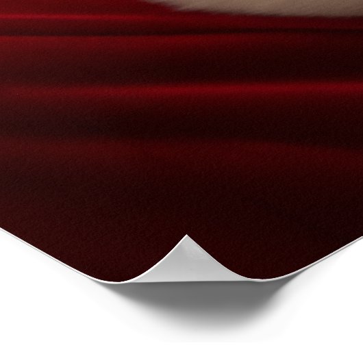 Santa Claus Joe Biden Poster (Hoek)