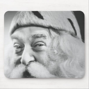 Santa Claus Muismat